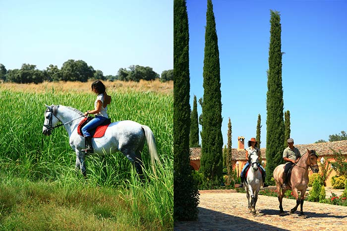 hotel-valdepalacios-agencia-de-viajes-cuatro-calles-actividades-activities-finca-country-luxury-hotel-spain-04 hotel-valdepalacios-agencia-de-viajes-cuatro-calles-actividades-activities-finca-country-luxury-hotel-spain-04