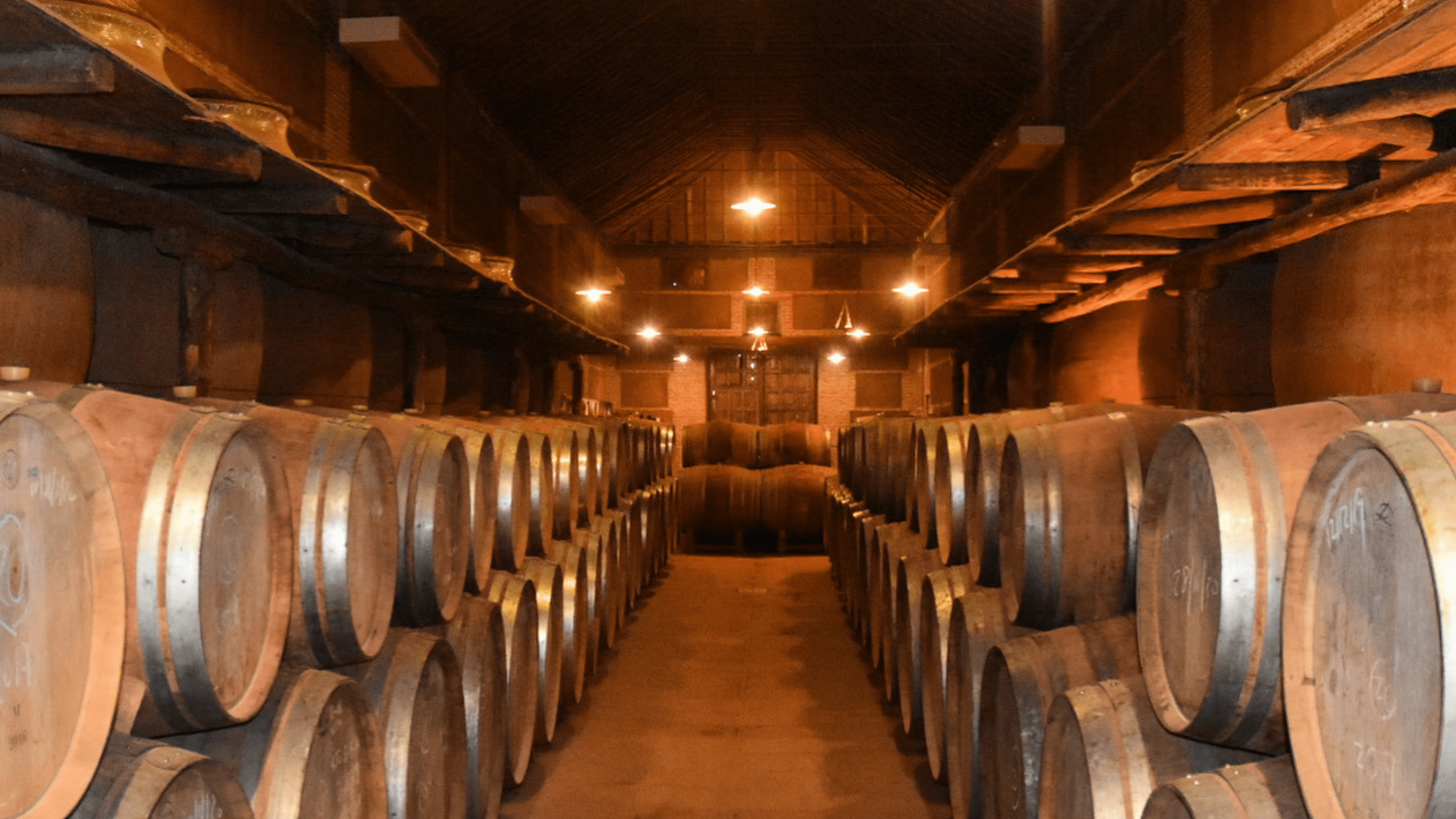 Cuatro calles, enoturismo, cata de vinos en toledo, contratar cata de vinos, turismo en torno al vino, experiencias turísticas en toledo, Toledo, finca Loranque, finca retamar