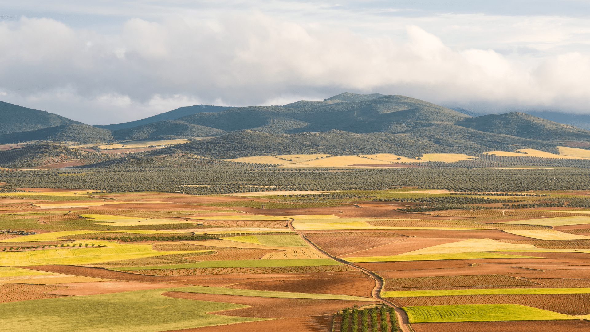 turismo rural, turismo en la naturaleza, Paisaje Ciudad Real, montes de toledo, parque nacional de cabañeros