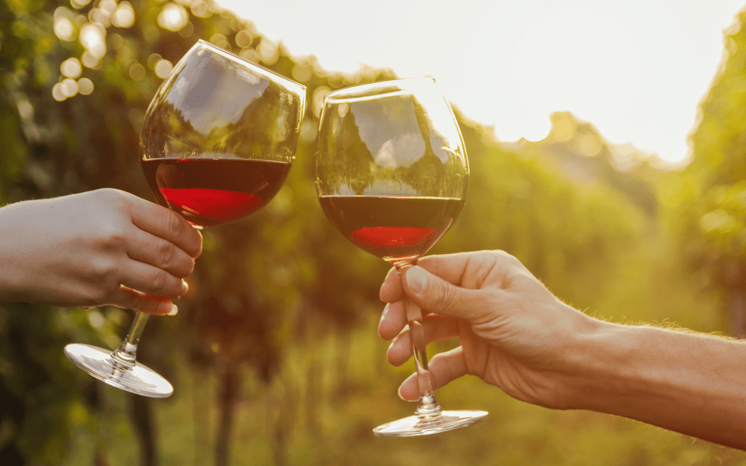 Experiencia Turística Gastronómica, Cata de Vinos